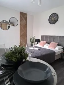 Pokoje Stare Miasto - 扎莫希奇