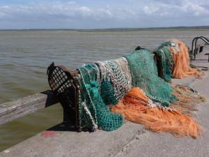 Maisons de vacances Gite les Onagres 2 Le Crotoy, a 2 minutes de la plage : photos des chambres