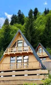 Cricova House - 皮亚特拉凡塔讷勒