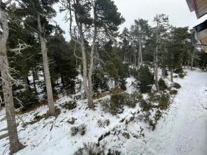 Appartements Font -Romeu grand T4 en residence vue magnifique : photos des chambres