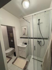 Apartmán u parku Parukářka