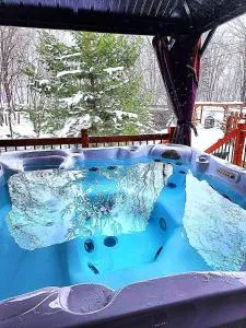 Chalet bord de l'eau avec spa - Asbestos