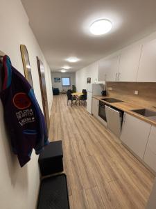 Veľký Rodinný apartmán v srdci mesta
