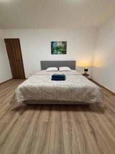 Veľký Rodinný apartmán v srdci mesta