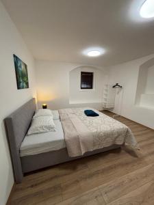 Veľký Rodinný apartmán v srdci mesta