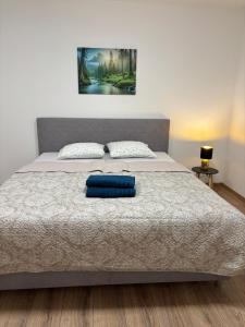 Veľký Rodinný apartmán v srdci mesta