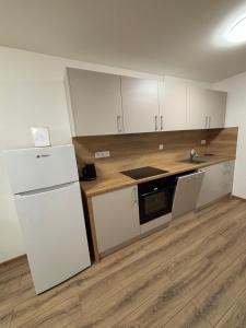 Veľký Rodinný apartmán v srdci mesta