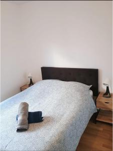 Appartements Professionnels de Thiais, Rungis, Choisy : photos des chambres