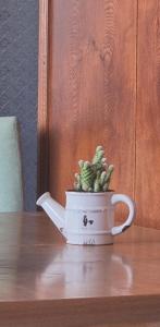 вид на море