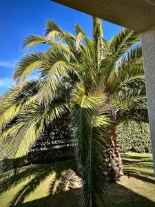 Maisons de vacances Les Palmiers gite 7 personnes plages du debarquement : Maison 3 Chambres