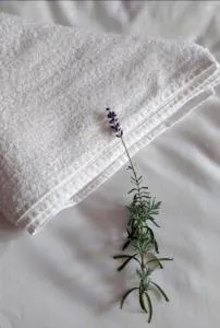 Bo's place - 圣君士坦丁和海伦那