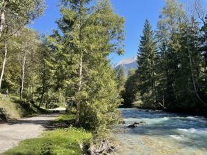 Appartements My 3 stars BEE HAPPY studio : photos des chambres