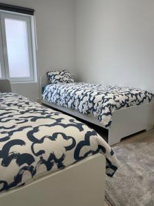 Duplex des souverains