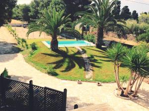 Segni Holiday Home img66