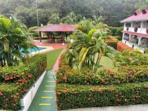 Samara Beach Las Palmeras Condo with Ocean view