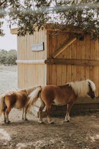Sejours a la campagne Domaine de la Ruade : photos des chambres