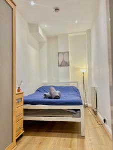 Kensington Studio Apartment in Central London