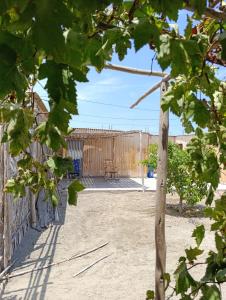 Casa de Playa - El Hospedaje de Liz - Huarmey