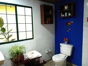 Oasis Urbano Bogotá