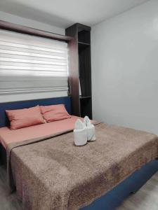 Cozy 2BR with FREE Pool beside SM City Mall