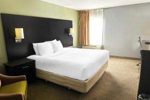 King Bed Accessible room in Baymont by Wyndham Rome West