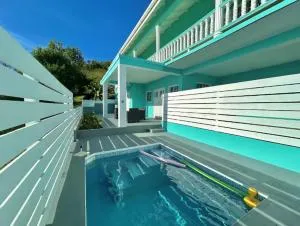 Oleander - 金斯敦