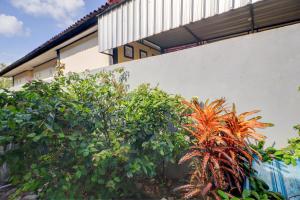 OYO Life 92838 Kost Ibu Surya