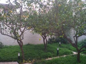 B&B Sea And Sardinia img17