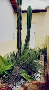 Casa da Áfrika - Suíte Primavera