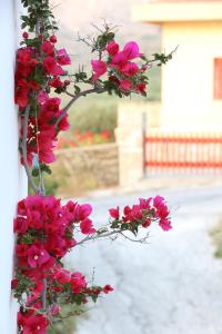 Kini Bay Syros Greece