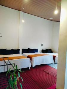 Niwasa House Nuwaraeliya