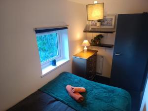 Cosy Garden Flat near Bay & City Centre - Fast Wifi, 5 mins to centre
