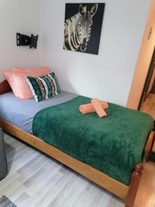 Cosy Garden Flat near Bay & City Centre - Fast Wifi, 5 mins to centre