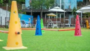 Hoengseong Withpet Village - 横城