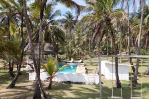 Beachfront Property in Palenque - Paradise!