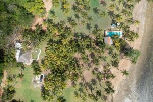 Beachfront Property in Palenque - Paradise!