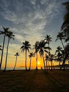 Beachfront Property in Palenque - Paradise!