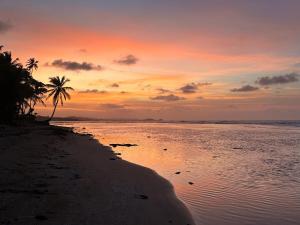 Beachfront Property in Palenque - Paradise!