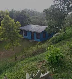 Casa Vera Icon - Neily