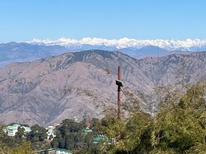 Moonwind Single Bedroom with attached Kitchenette