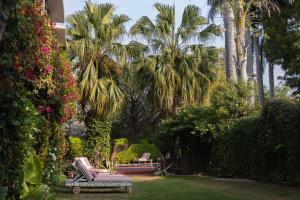 Kintsugi at Rangniwas