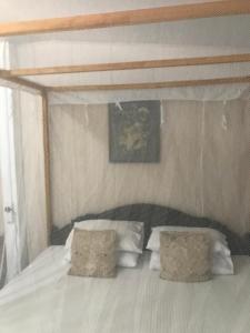 Salt Bay Kite and Dive Resort