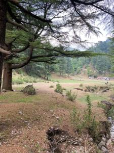 Moonwind Single Bedroom with attached Kitchenette