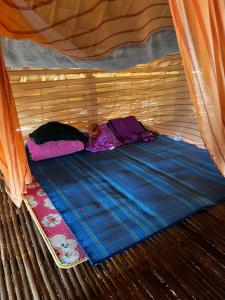 Mondulkiri tour and family homestay