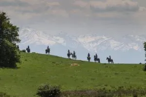 Casa Contatore Eterna Transylvania - Beclean