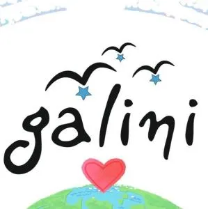 tinos galini Family's HOTEL - Agios Ioannis