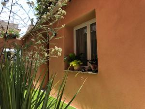 Hotels Hotel Villa Rose : photos des chambres