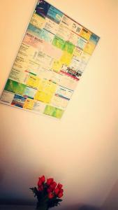 The Encore Flat - Milano Gambara