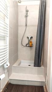 Appartements Le Petit Studio : photos des chambres
