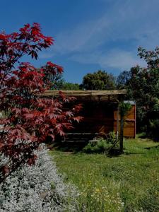 Chalets Le nid des crinieres vagabondes : photos des chambres